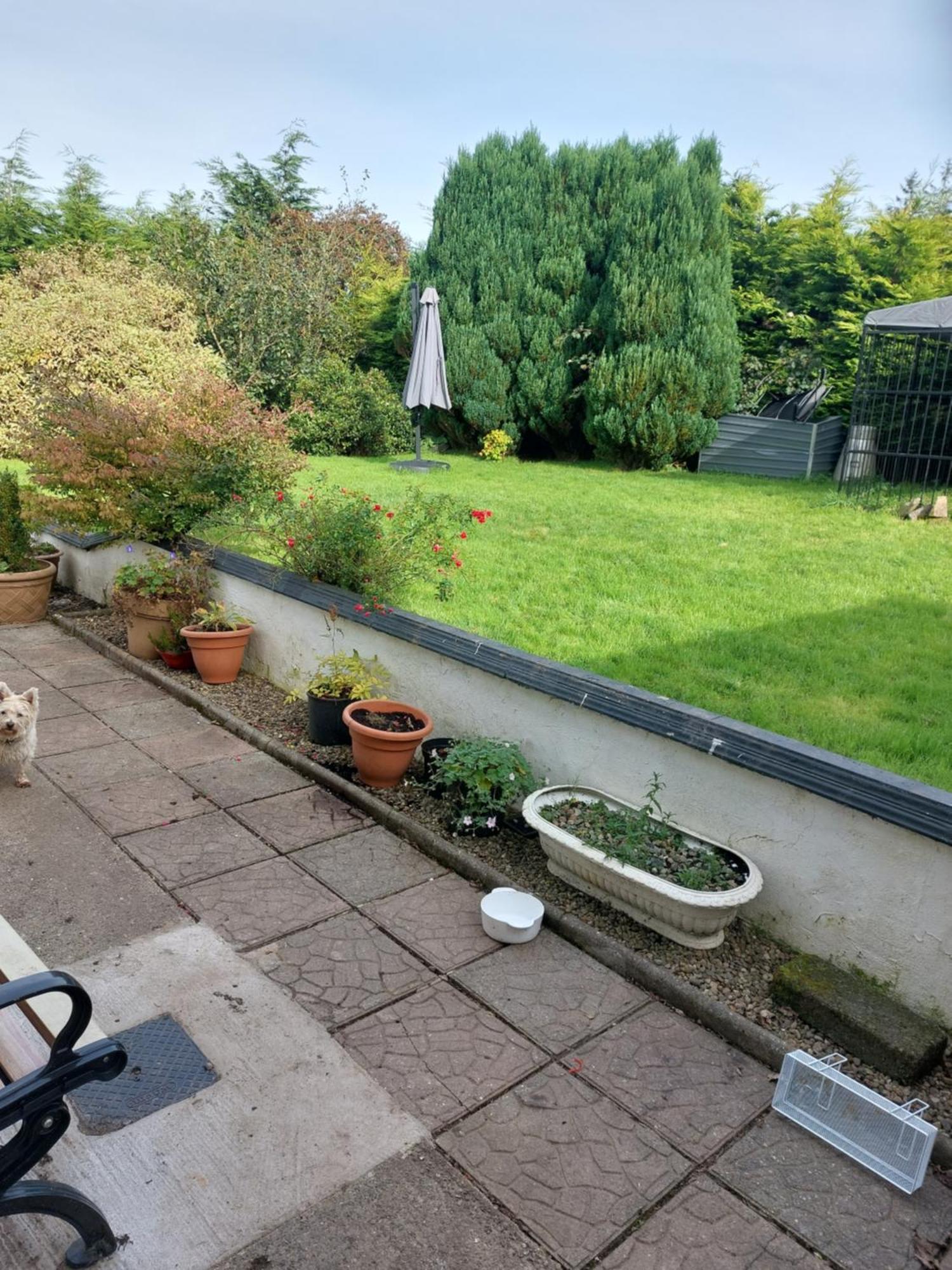 Ferienwohnung Hillside Haven Tipperary Exterior foto